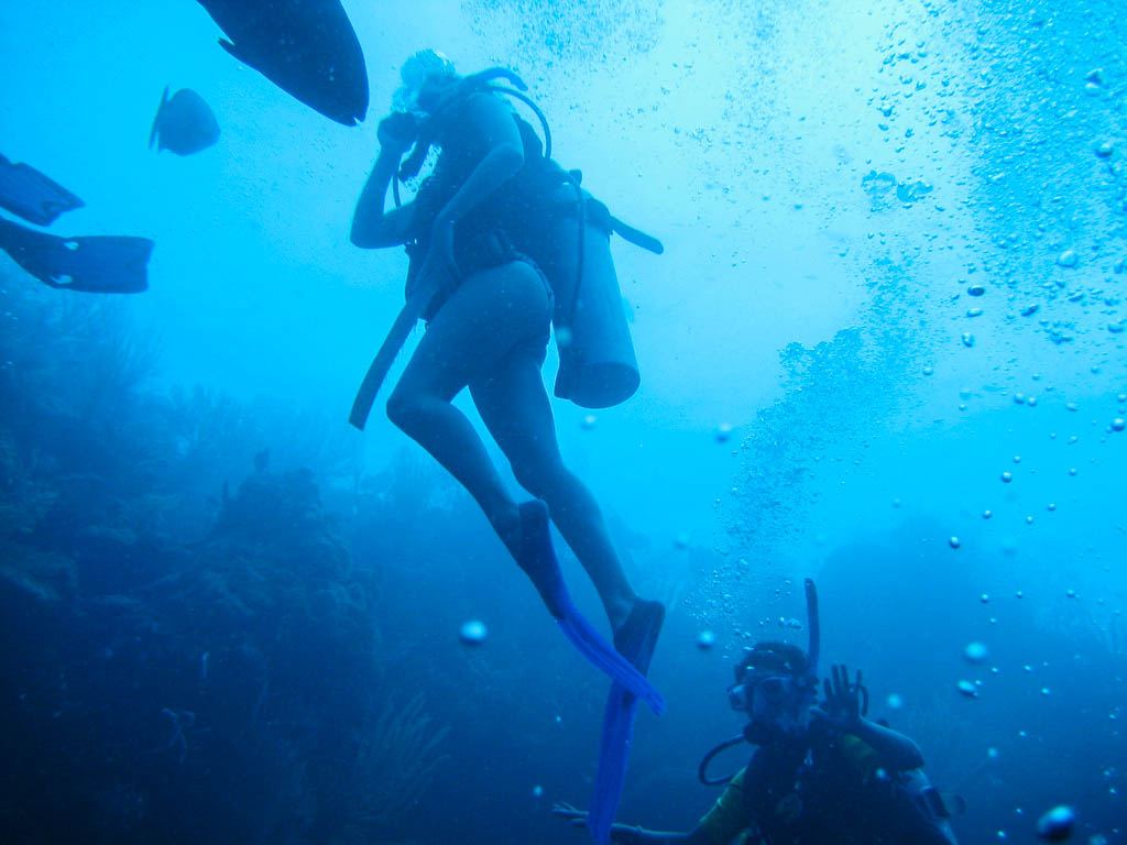 Diving the Blue Hole in Belize