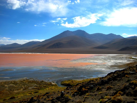 The red laguna colorada is one of many lagoons you come to see in Uyuni