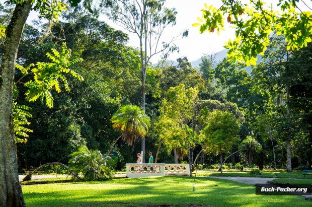 Rio de Janeiro-park jardim botanico