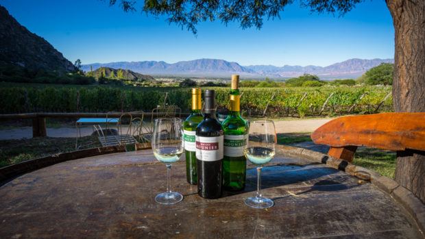 Die "Finca Las Nubes" in Cafayate hat nicht nur guten Wein sondern auch einen tollen Ausblick!