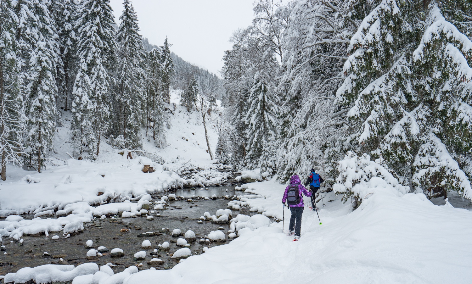 Schneeshuhwandern in winterlicher Traumkulisse (im Talschluss nahe Lengau)