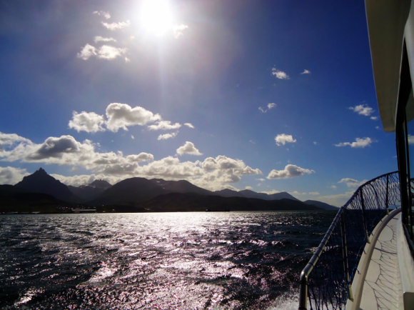 When in Ushuaia you shouldn't miss a cruise on the Beagle Channel