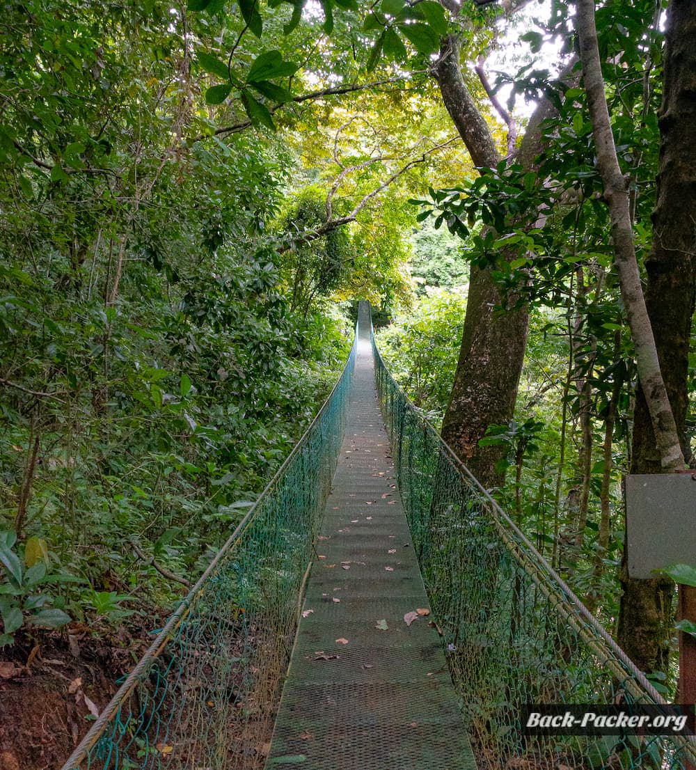 jungle bridge in Montezuma