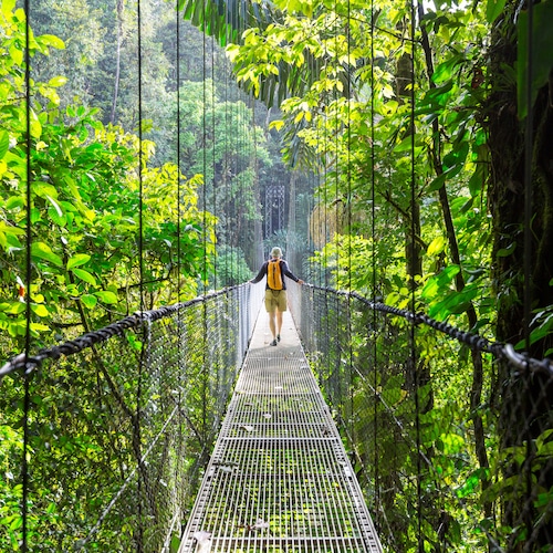 Mann läuft über eine Hängebrücke im grünen Dschungel von Costa Rica