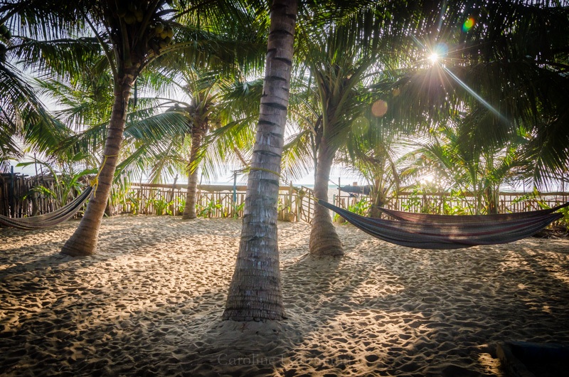 Wer den Strand satt hat kann sich unter Palmen ein Nickerchen gönnen :)