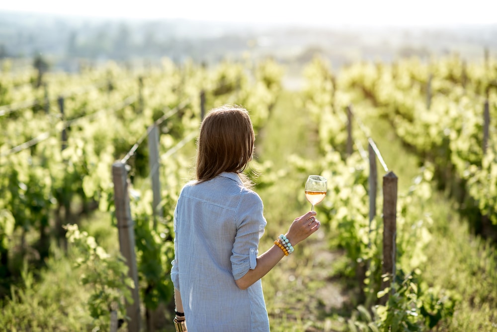 Weinverkostung im Weinberg