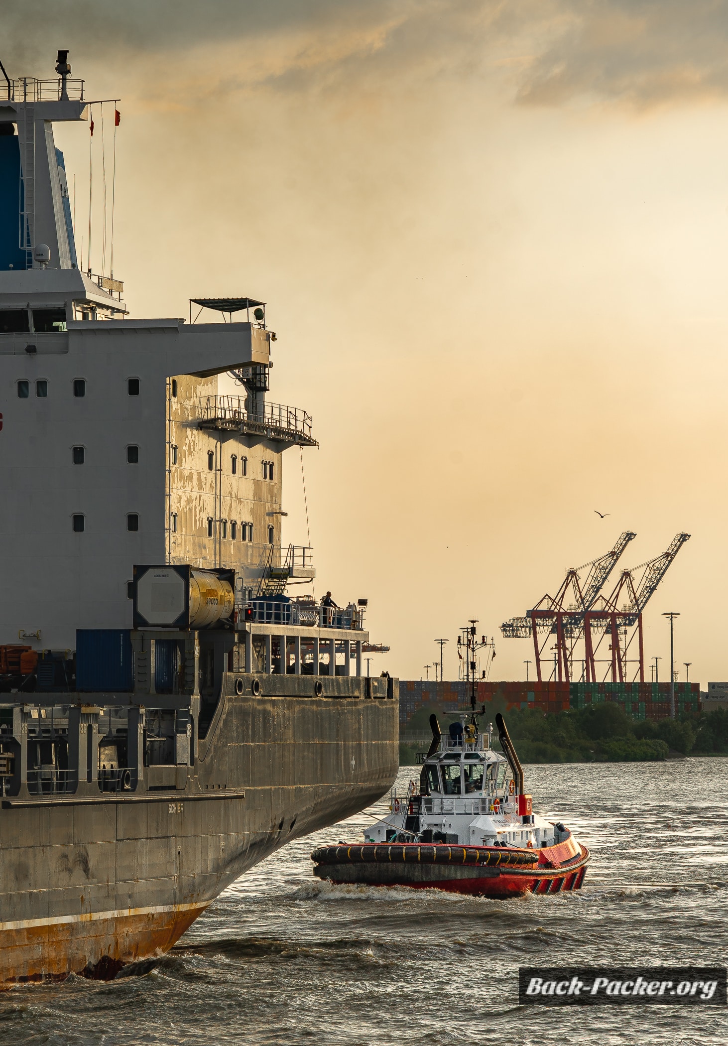 Ein Schlepper zieht eine Containerschiff durch den Hamburger Hafen