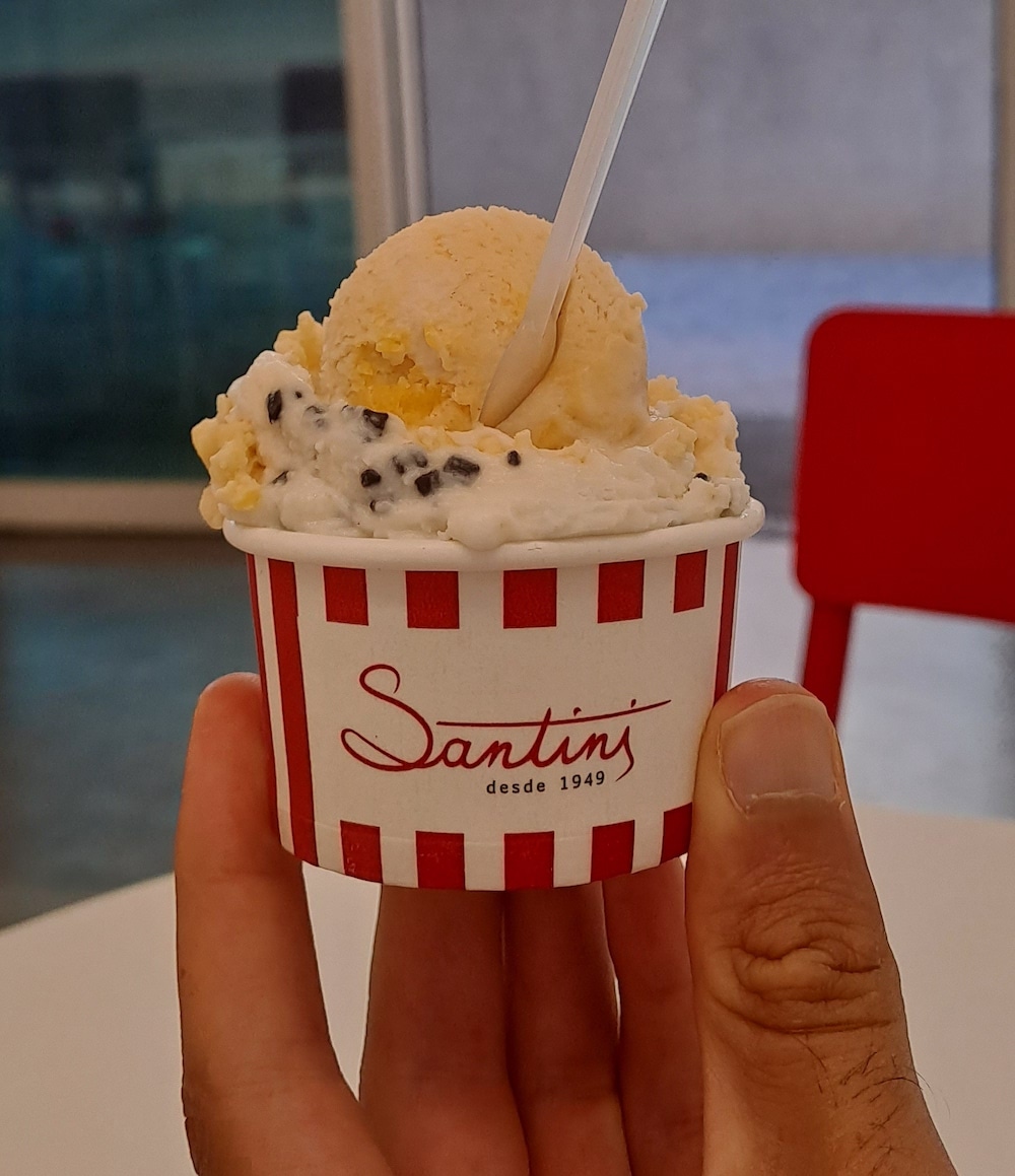 a cup of santini ice cream